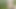 Sexy MILF Walks Naked in the Woods. Big Natural Tits. Compilation 2
