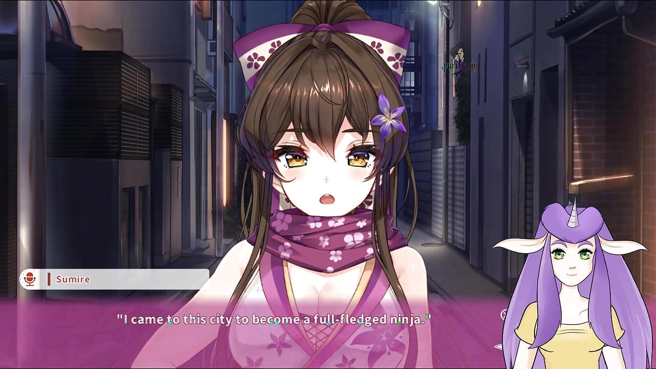 NinNin Days Uncensored Guide Part 1