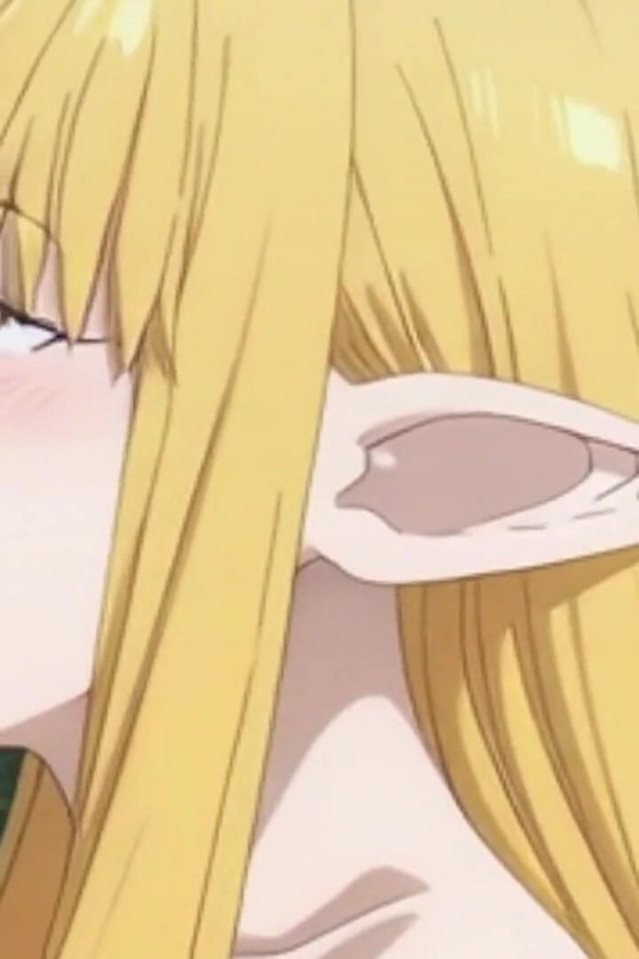 Sousou no frieren serie hen