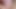 柔らかいマイクロペニスから完全に成長したチンポまで