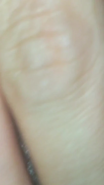 Momento da vedere da "Gozando na boca da piranha"