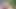 15 cumshots in 6 minutes!