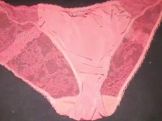 My Aunt's Panties Collection
