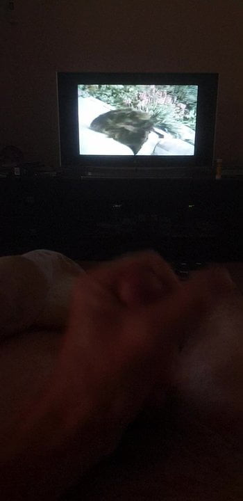 Jacking off to porn