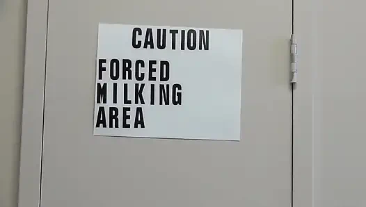 Herriger Sasha Band 2 Mit Sasha