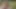 Güneşte yağlanmış orta yaşlı seksi kadınlar