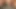 Bear small penis from erection to cum