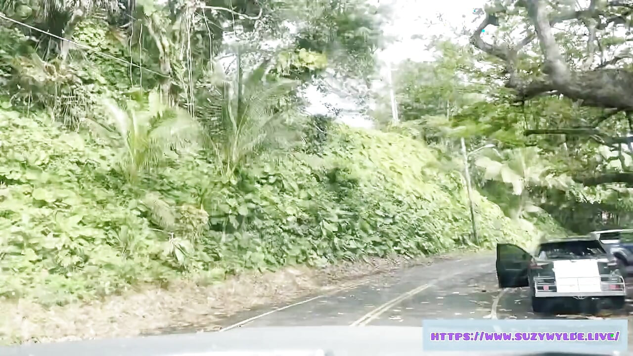 マウイ島ワイモクフォールズのスージー・ワイルドのためのハナへのSfwロードトリップ