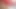 Shanaya bhat selfie videosu