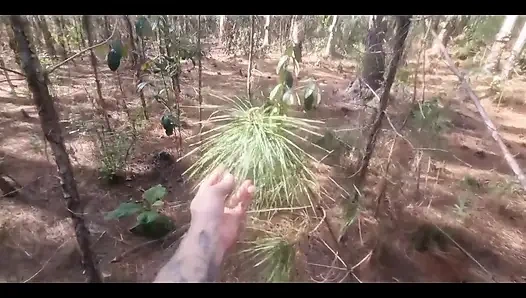 A Tourist Lost in the Woods Is Forced to Have Sex with a Witch to Avoid Being Cursed!!! Halloween