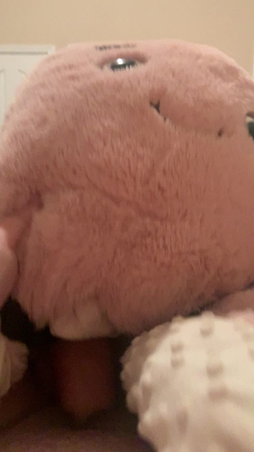Fat dicked plush toy