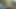 Trans girl meets hiker in the woods (hint: they fuck)