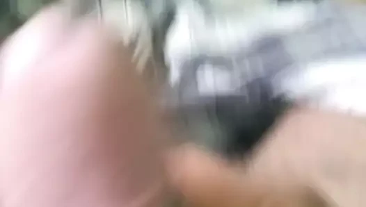 güzel Hindistan çük
