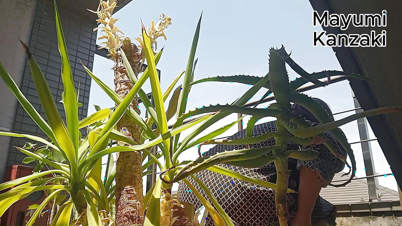 I Pee in the Potted Plant Again