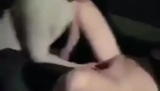 Pussy getting fingered up entry