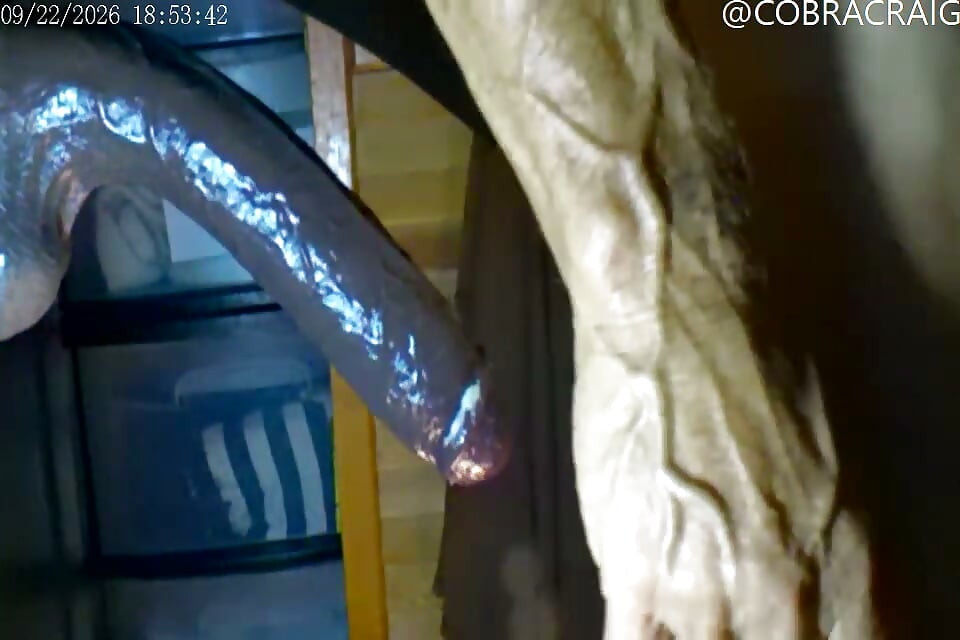 CAM2COBRA'S ASS TAKES BIG LEROY BROWN NO BIG DICK THAT WON'T GO DOWN BRING THE RELTHING BOYS DADDYS GOT THE HOLE FOR YOU