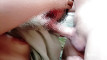 Pratonton Video