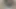Gay