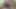 Laura seksi kadın, siyah iç çamaşırlı ve koşumlu İspanyol orta yaşlı seksi kadın, büyük klitoris, büyük memeler ve zengin meme uçları, dildo 25, amcık yutuyor ve sulu