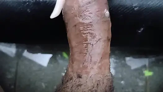 Sadece özel bir akşam