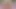 Lelu Love-Big And Tiny Dildo SPH