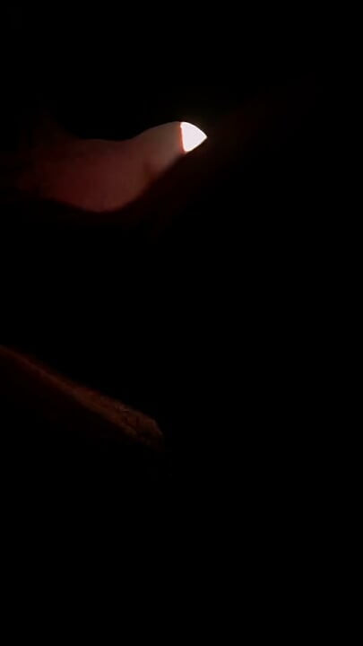 Enjoy My Dick Every Day for Free