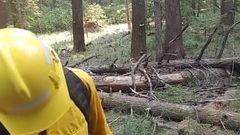 Настоящий лесной пожарный работник