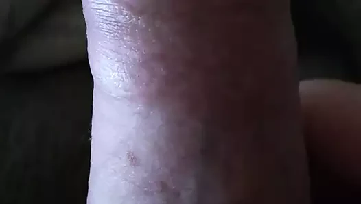 mi polla