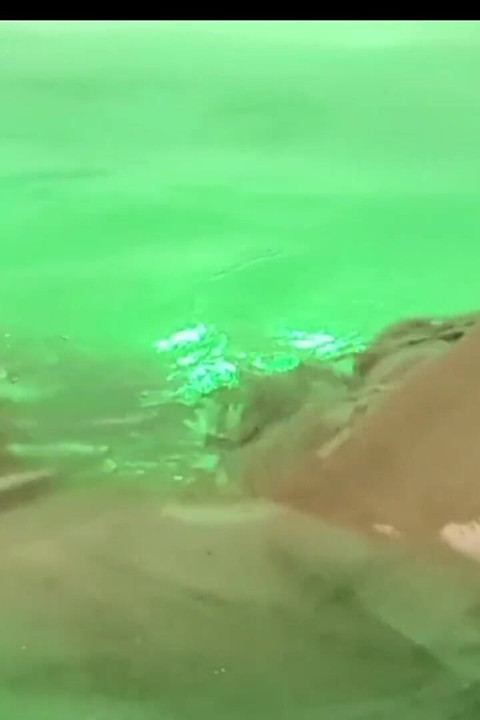 リトル・リンダが車のデートに向かって股の開いたパンティストッキングを履いて準備をする