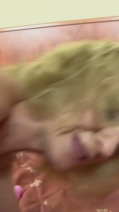 Haarige Muschi von schwarzen Schwanz penetriert | Clip 1