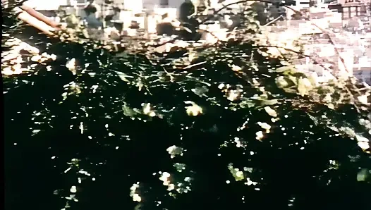 Sinnliches ficken unter dunklen italienischen ampeln