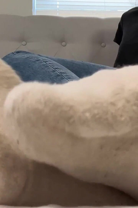 You Need My Smelly Socks