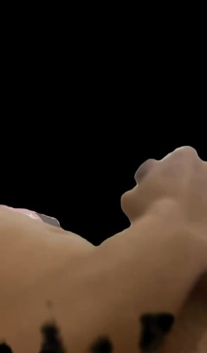 "안녕하세요, 내 사랑을 찾고 싶어요. 너야? 만약 당신이 거기 밖으로 관심이 있다면, DM으로 연락 하시기 바랍니다."