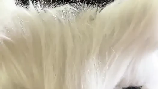 Today I'm a Naughty Kitten Who Wants Milk