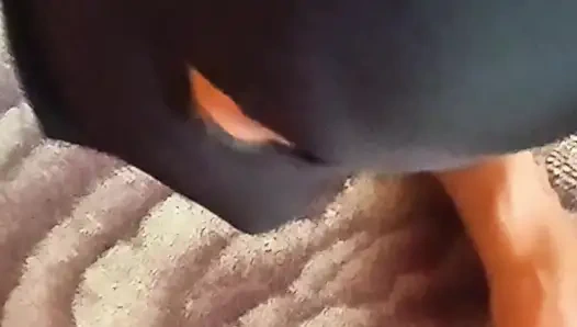 Beautiful milf wife (anal)