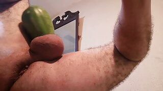 Papaya -trainingen