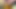 Cumshot