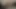 cock and anal masturbation with finger in ass