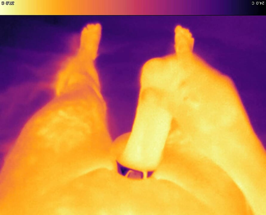 Jerking off with cock ring on thermal camera