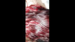 Video pregled