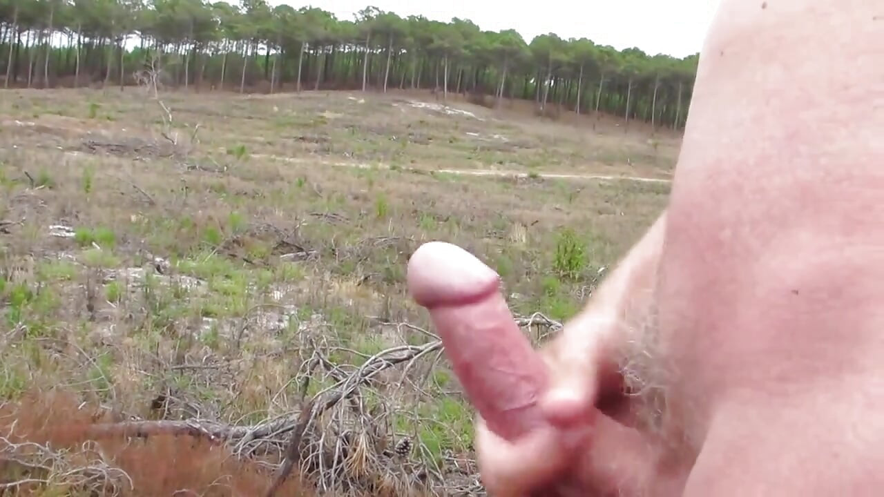 Nude Wank in the Woods and Fields 5