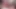 Porno yıldızı Nina Rivera ağzını beyaz bir yarakla tutamıyor