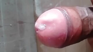 استمناء الديك الأسود