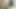 Ateşli üvey kız kardeş yarağıma biniyor - porno