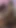 Jaw-dropping moment from "Nicole Anniston & Freinds Miserable Fuck A Fan Hotties Big Boobs Giving Pussy And Mouth to Fan!"