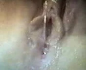 wett pussy
