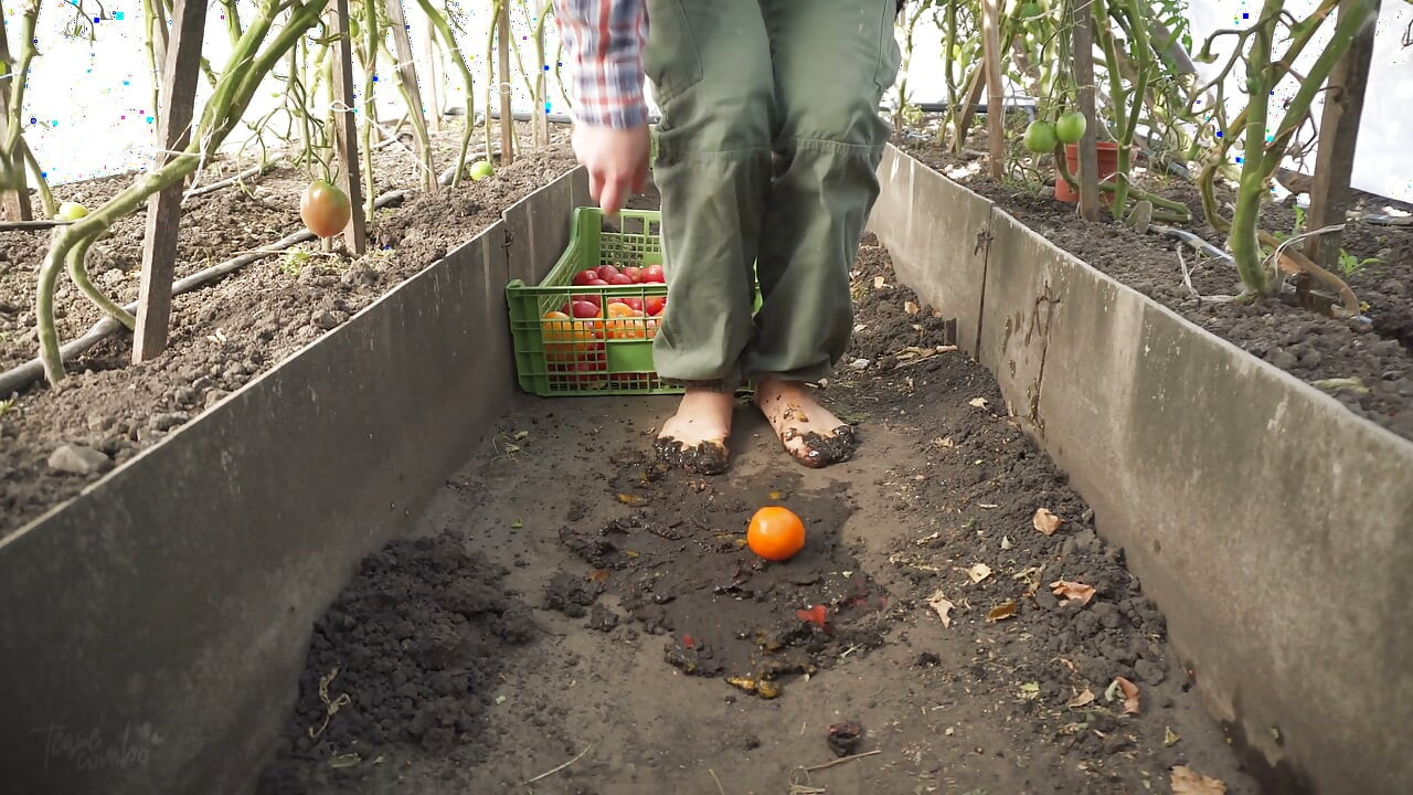 Squashing Tomatoes Barefoot in the Dirt Asmr