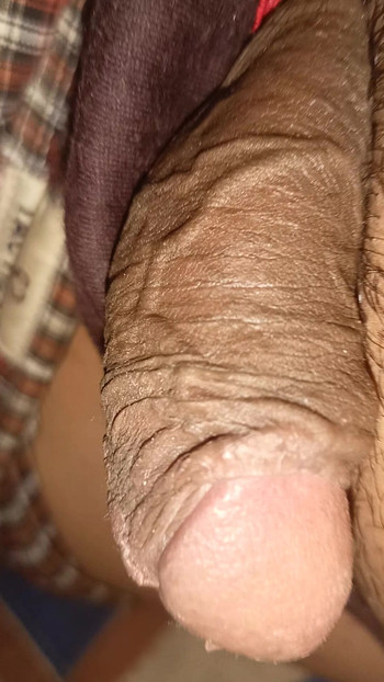 My dick see