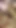 Asiansexdiary sıska pinay döl duşlarının tadını çıkarıyor