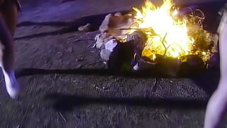 Wild Cat Eats a Lot of Tails in Nature